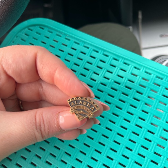 Jewelry - Alaska National Park Souvenir Pin